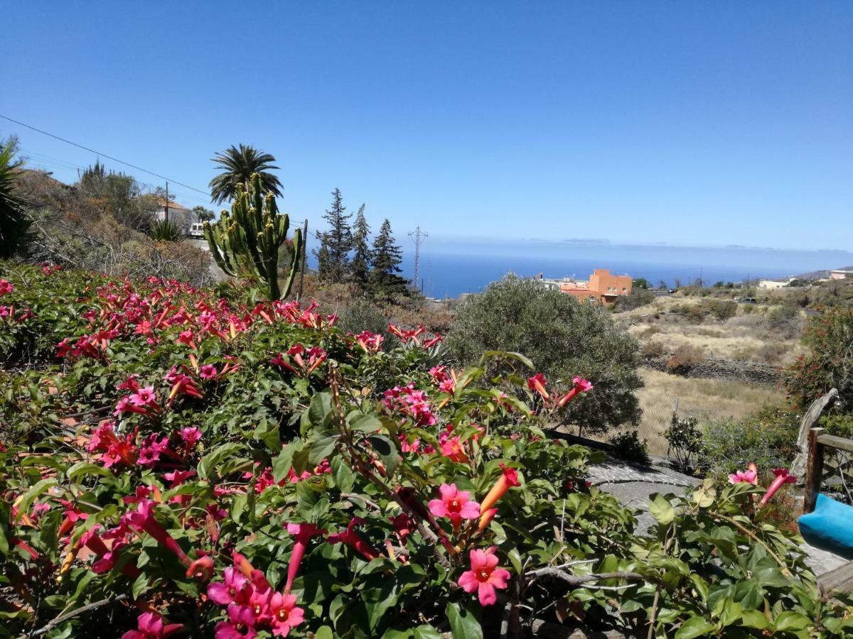 Finca Alda لوس يانوس دي أريداني المظهر الخارجي الصورة